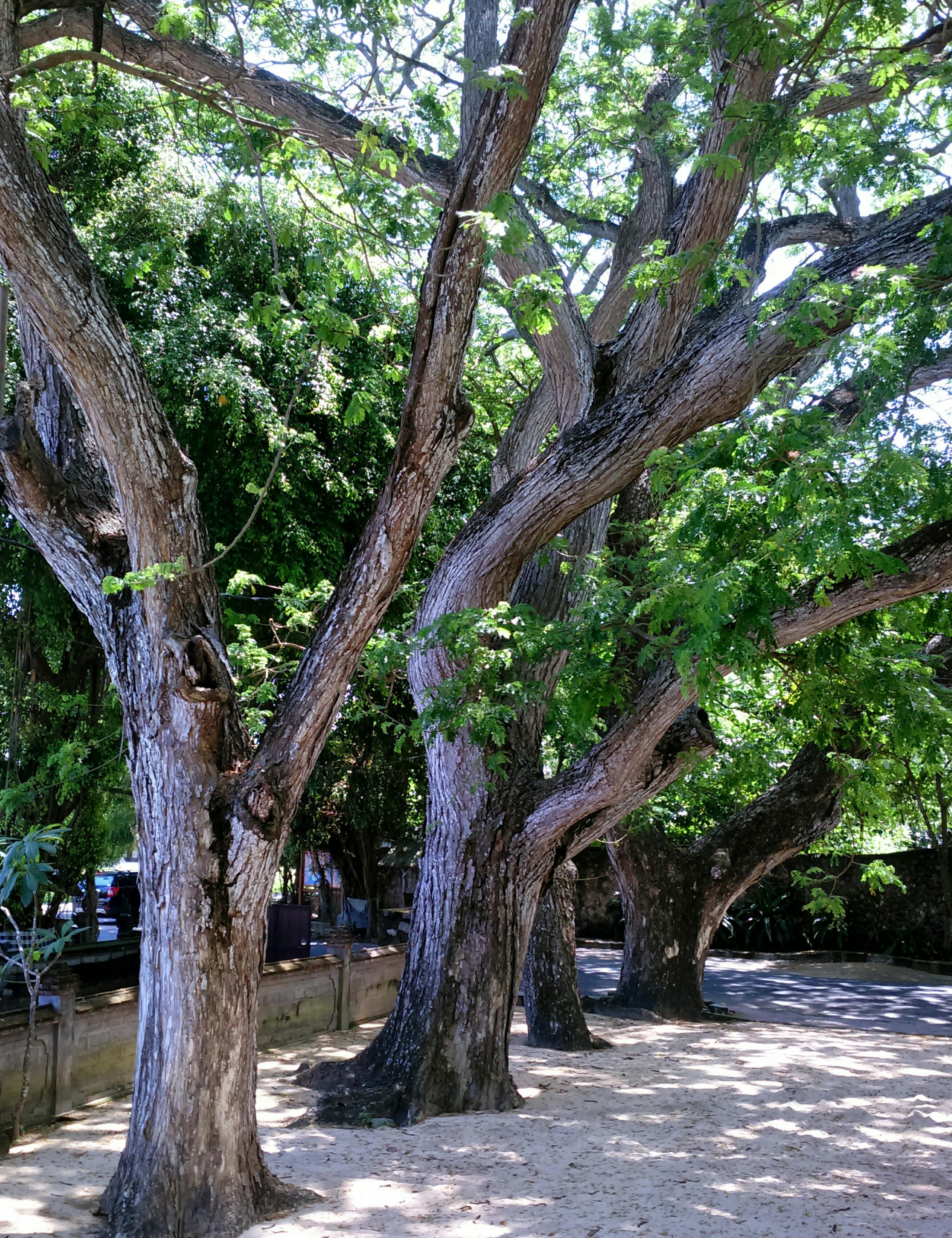 Taksu Sanur Hotel Exterior foto
